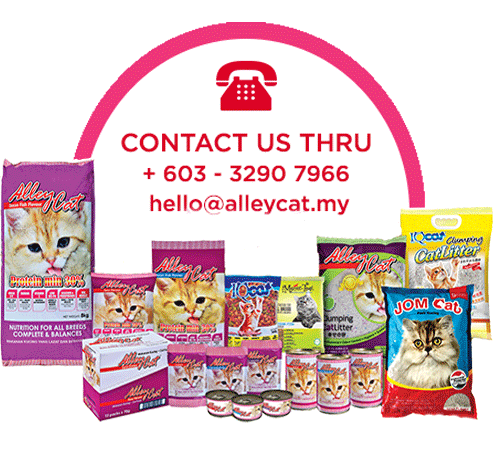 AlleyCat | Nutrisi Lengkap dan Seimbang Kucing Anda